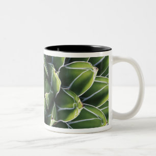 N.A., USA, Arizona, Tucson, Sonora Desert Zweifarbige Tasse