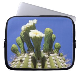 N.A., USA, Arizona, Tucson, Sonora-Wüste 2 Laptopschutzhülle
