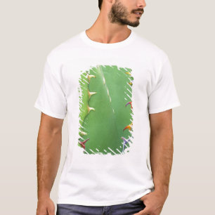 N.A., USA, AZ, Phoenix, Wüste Botanical 2 T-Shirt
