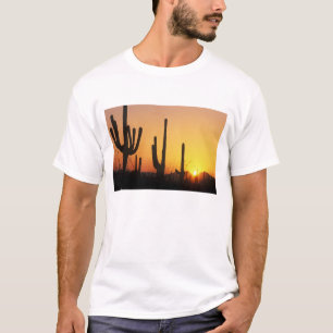 N.A., USA, AZ, Saguaro NP, Saguaro-Sonnenuntergang T-Shirt