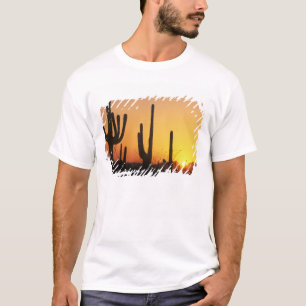 N.A., USA, AZ, Saguaro NP, Saguaro-Sonnenuntergang T-Shirt