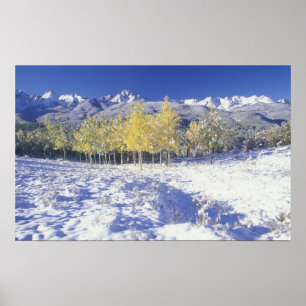 N.A., USA, Colorado, San Juan Mts Frischer Schnee Poster
