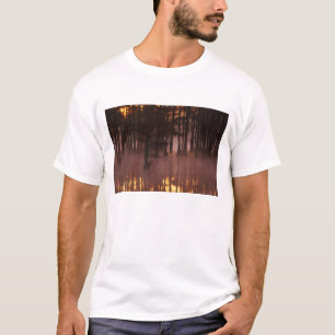 N.A., USA, Georgia, George Smith Staat Park. T-Shirt