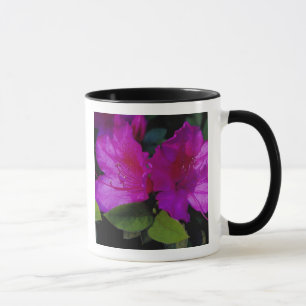 N.A. USA, Georgia, Savannah. Azalee in Blüte. Tasse