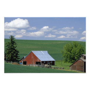 N.A., USA, Idaho, Latah County bei Genesee. Fotodruck