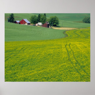 N.A., USA, Idaho, Latah County, bei Genesee. Poster