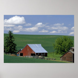N.A., USA, Idaho, Latah County bei Genesee. Poster
