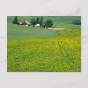 N.A., USA, Idaho, Latah County, bei Genesee. Postkarte