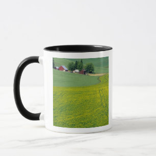 N.A., USA, Idaho, Latah County, bei Genesee. Tasse