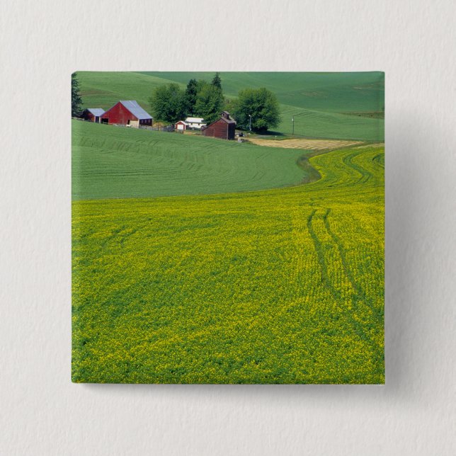 N.A., USA, Idaho, Latah Landkreis, in der Nähe von Button (Vorderseite)