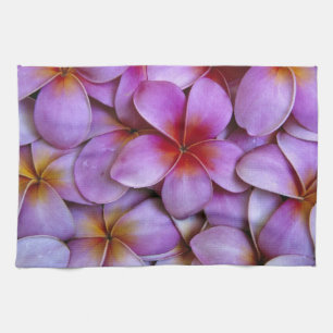 N.A., USA, Maui, Hawaii. Rosa Plumeria-Blüten. Handtuch