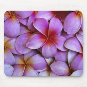 N.A., USA, Maui, Hawaii. Rosa Plumeria Blüten. Mousepad