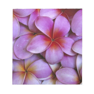 N.A., USA, Maui, Hawaii. Rosa Plumeria-Blüten. Notizblock