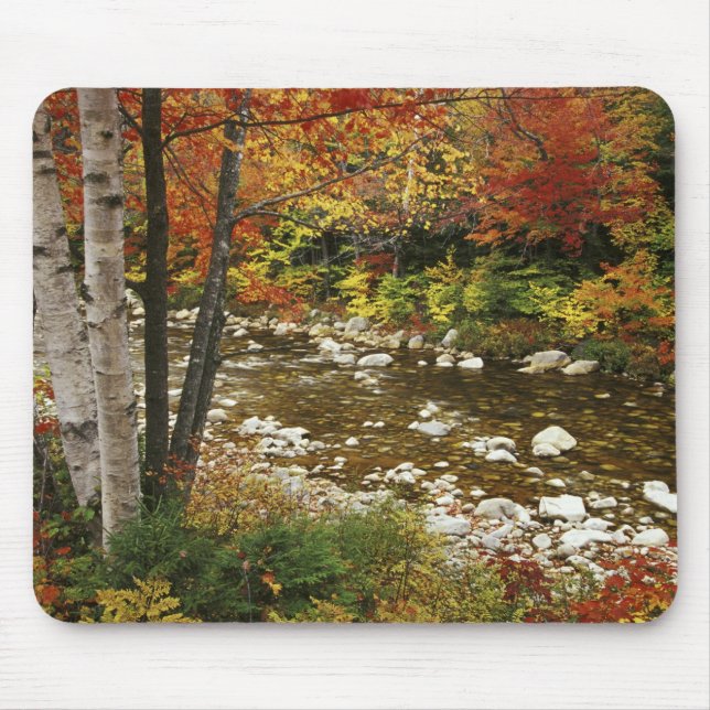 N.A., USA, New Hampshire, White Mountains, Mousepad (Vorne)