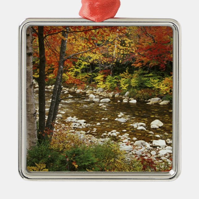 N.A., USA, New Hampshire, White Mountains, Ornament Aus Metall (Vorne)