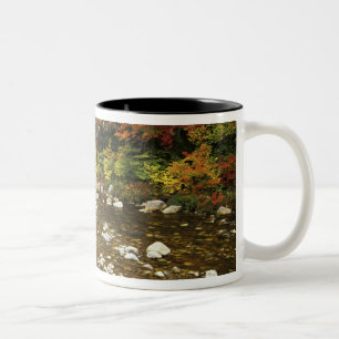 N.A., USA, New Hampshire, White Mountains, Zweifarbige Tasse