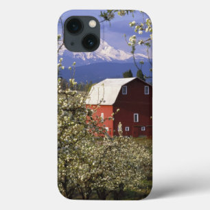 N.A., USA, Oregon, Hood River County. Rot title_seo2