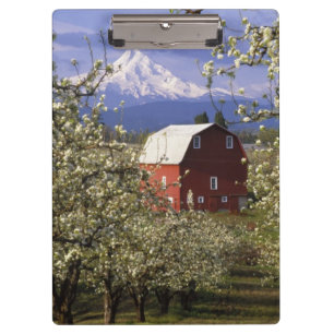 N.A., USA, Oregon, Hood River County. Rot Klemmbrett