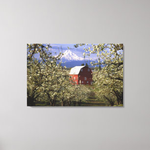 N.A., USA, Oregon, Hood River County. Rot Leinwanddruck