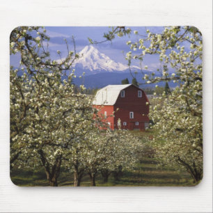 N.A., USA, Oregon, Hood River County. Rot Mousepad