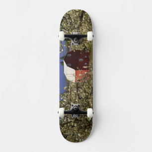 N.A., USA, Oregon, Hood River County. Rot Skateboard