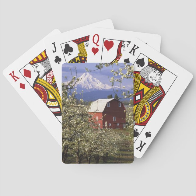 N.A., USA, Oregon, Hood River County. Rot Spielkarten (Rückseite)