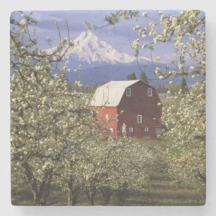 N.A., USA, Oregon, Hood River County. Rot Steinuntersetzer