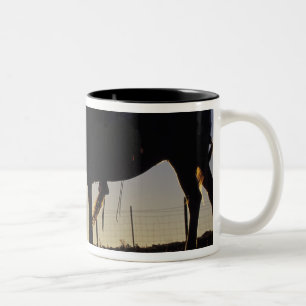 N.A., USA, Oregon, Seneca, Ponderosa Ranch, Zweifarbige Tasse