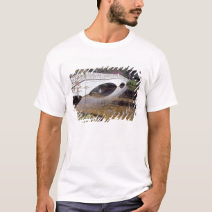 N.A., USA, South Carolina, Charleston.  Magnolie T-Shirt