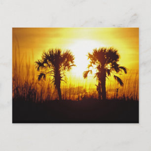 N.A., USA, South Carolina, Charleston.Sonnenunterg Postkarte