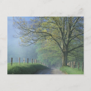 N.A., USA, Tennessee, Smokey Mts. Nationalpark, Postkarte