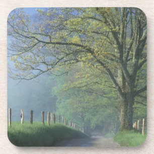 N.A., USA, Tennessee, Smokey Mts. Nationalpark, Untersetzer
