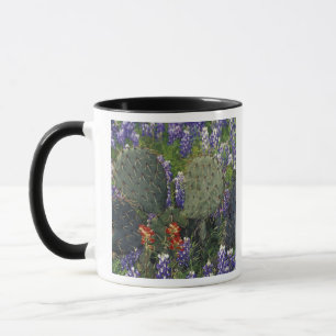 N.A., USA, Texas, Cactus, umgeben von Tasse