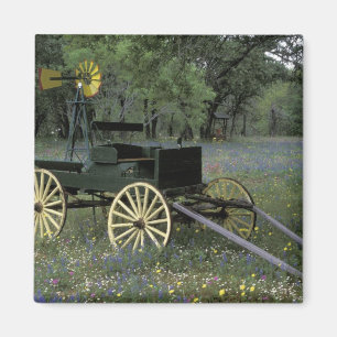 N.A., USA, Texas, Devine, alter Lastwagen und Magnet