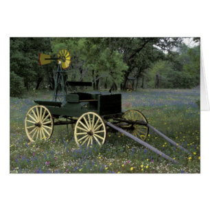 N.A., USA, Texas, Devine, Alter Wagen und
