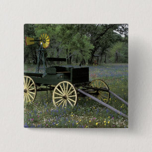 N.A., USA, Texas, Devine, Alter Wagen und Button