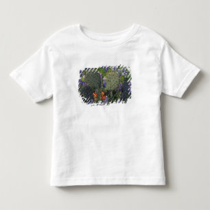 N.A., USA, Texas, Kaktus umgeben von Kleinkind T-shirt