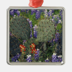N.A., USA, Texas, Kaktus umgeben von Ornament Aus Metall