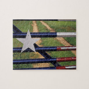 N.A., USA, Texas, Lake Buchanan, Flagge von Texas