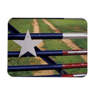 N.A., USA, Texas, Lake Buchanan, Flagge von Texas Magnet