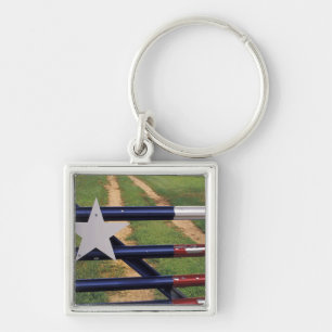 N.A., USA, Texas, Lake Buchanan, Flagge von Texas Schlüsselanhänger