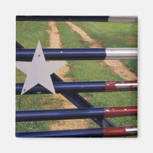 N.A., USA, Texas, Lake Buchanan, Texas-Flagge Magnet