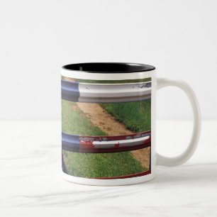 N.A., USA, Texas, Lake Buchanan, Texas-Flagge Zweifarbige Tasse