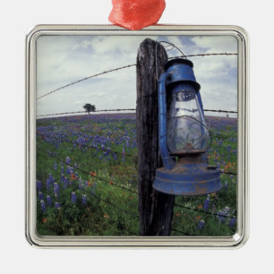 N.A., USA, Texas, Llano, Blue Lantern, Eiche Ornament Aus Metall