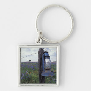 N.A., USA, Texas, Llano, Blue Lantern, Eiche Schlüsselanhänger