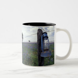 N.A., USA, Texas, Llano, Blue Lantern, Eiche Zweifarbige Tasse
