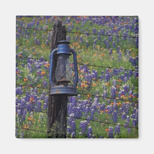 N.A., USA, Texas, Llano, Blue Lantern und Magnet (Vorne)