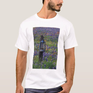 N.A., USA, Texas, Llano, Blue Lantern und T-Shirt