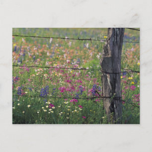 N.A., USA, Texas, Lytle, Zaun und Postkarte