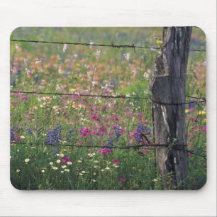 N.A, USA, Texas, Lytle, Zaunpfosten und Mousepad